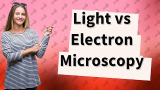 How Do Light and Electron Microscopes Differ in GCSE Biology [upl. by Myrtle]