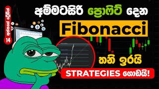 All About Fibonacci Retracement and Extension  Best Trading Tool [upl. by Airasor261]