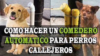 Dispensador de Agua para Gatos o Perros  Bebedero para Mascotas [upl. by Tessa67]