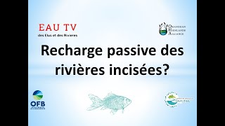 Complement Ep1 Recharge passive des rivières incisées Quid des ouvrages type castor [upl. by Akirre]