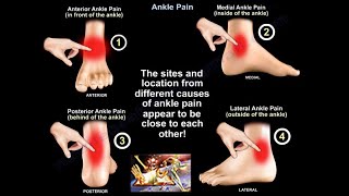 Ankle Pain  Everything You Need To Know  Dr Nabil Ebraheim [upl. by Yecrad]