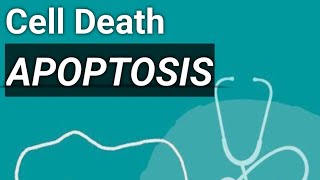 Apoptosis type of cell death robbins pathology [upl. by Ahserb]