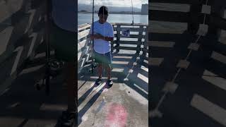 Pulling up two jacksmelt on a Sabiki fishing rig at a Bay Area Pier fishing freshwaterfish [upl. by Eeliab]