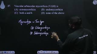 Vascular arbuscular mycorrhiza VAM is [upl. by Kasey3]