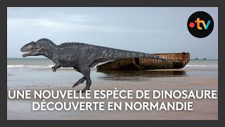 Une nouvelle espèce de dinosaure découverte en Normandie [upl. by Rosalinda131]