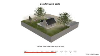 Beaufort Scale Wind Speed Example [upl. by Ahcsatan136]