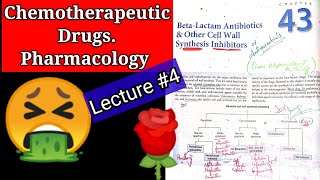 Chemotherapeutic pharmacologyChap43lec 4Beta lactam antibiotics cell wall synthesis inhibitors [upl. by Hannahoj]