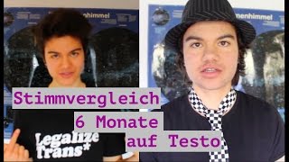 Stimmvergleich 06 Monate auf Testo [upl. by Aciamaj]