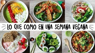 LO QUE COMO EN UNA SEMANA  VEGANO amp SALUDABLE [upl. by Sylirama331]