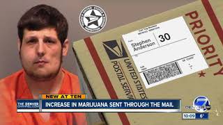 Number of packages mailed in Colorado with marijuana inside spikes [upl. by Sivatnod]