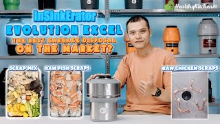 InSinkErator Evolution Excel 1 HP Review  Shouldit Garbage Disposal Series [upl. by Idnahr976]