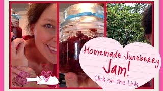 Homemade Juneberry Jam an Odd Lost Tree and a Cool Thing With a Mason Jar [upl. by Nannie89]