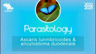 Ascaris lumbricoide Parasitology [upl. by Ries]