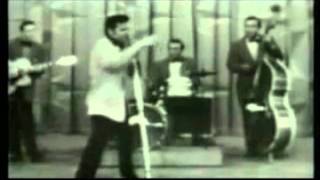 Elvis Presley  Hound Dog Live [upl. by Ahcrop]