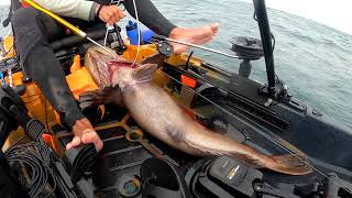 Hunting quotTrophyquot ROCKFISH off the Kayak in CALIFORNIA w Die Hard Fishing [upl. by Gora]