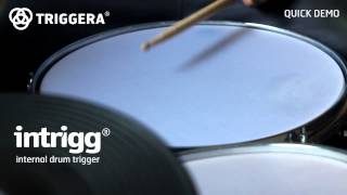 Internal drum trigger  Intrigg quick demo  Triggera [upl. by Tserof115]