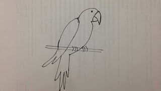 How to draw a Parrot for kids  Draw Parrot Step by Step [upl. by Dierolf]