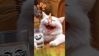 Tom sings drink sewer rat water brought by cat [upl. by Neu]