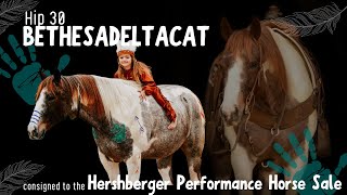 BETHESADELTACAT  Hip 30  VonAhn Horses  Consigned to the Hershberger Performance Horse Sale [upl. by Wiencke]