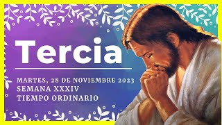 🌼HORA TERCIA DE HOY 28 de Noviembre de 2023  Oración de media mañana🙏 [upl. by Gula594]