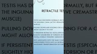 What is Retractile testis retractile testis undescendedtestis [upl. by Panthea6]