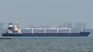 Ucraina la nave carica di cereali partita da Odessa è arrivata sulla costa turca [upl. by Cunningham]