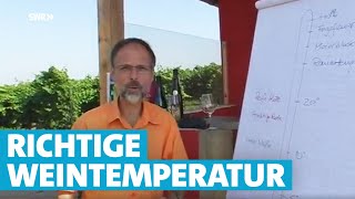 Werner erklärt Wein Die richtige Temperatur [upl. by Worsham]