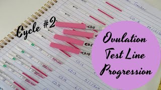 Ovulation Test Line Progression  Cycle 2 TTC Baby 2 [upl. by Simsar163]