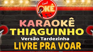 Karaokê 🎤 Thiaguinho  Livre pra voar Versão Tardezinha [upl. by Niven]