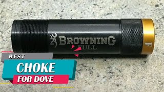 Top 5 Best Chokes for Dove amp Duck HuntingTrap Shooting in 2024 Review  Extended Choke Tube [upl. by Mij]