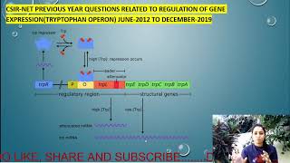 CSIR NET PREVIOUS YEAR QUESTIONS RELATED TO TRYPTOPHAN OPERON FROM 2012 TO DEC 2019 LIFE SCIENCES [upl. by Dennard]