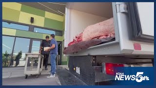 Colorado Springs Rescue Mission gets special delivery from county fair [upl. by Ylelhsa]