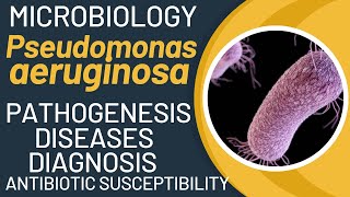 Pseudomonas aeruginosa pathogenesis  general properties virulence factors disease lab tests [upl. by Nirehtak]