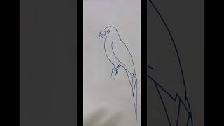 Parrot drawing for kids short youtubeshorts drawing [upl. by Juieta]