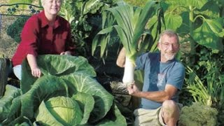 The Secrets of Growing Giant Vegetables [upl. by Warring]