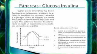 ELPREICFES  Biología 2 Páncreaswmv [upl. by Zebada924]