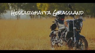 Awesome bike ride to Hesaraghatta Grasslands [upl. by Arakaj973]