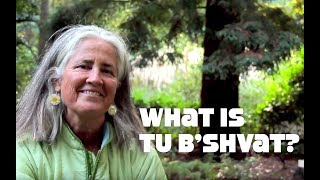 What is Tu Bshevat The Jewish Tree Holiday [upl. by Aiekan]