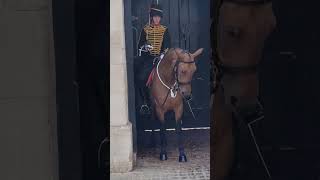 The Queens Guards Horse slips and falls down horseguardsparade [upl. by Ailema]