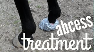 DIY HOOF POULTICE w Diapers and Duck Tape  How to Treat an Abcess [upl. by Cohette]