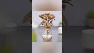 how to make beautiful flowers pot at home 🏡😁😍diy craft art decoration home madeflower [upl. by Aidroc698]