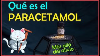 Parte 1 ¿Qué es el PARACETAMOL más allá del alivio 💊  Desde su síntesis 🧪 [upl. by Eugenides]