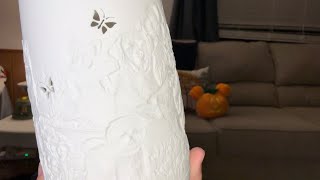 Huge Scentsy haul fallhaul dogs scentsy [upl. by Festatus]