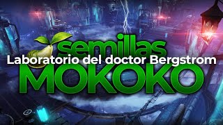 Mokoko de Laboratorio del doctor Bergstrom  Mazmorra Lost Ark [upl. by Pressman359]