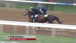 Fierceness halfmile workout at Churchill Downs  April 26 [upl. by Whitver]