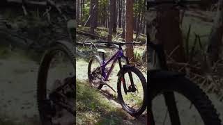 Aggressive Hardtail Build [upl. by Aneram]