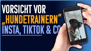 Hundetraining auf Instagram und TikTok  fahrlässig und gefährlich [upl. by Nomzed821]