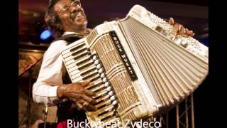 Buckwheat Zydeco  Why Does Love Have to be so Sad [upl. by Aihsekyw]