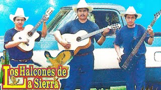 Dueto Los Halcones De La Sierra  12 Corridos y Canciones Album Completo [upl. by Jackquelin329]