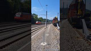 SBB Personenzüge bei Wohlenschwil [upl. by Valenza]